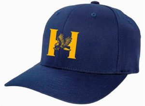 Hudson Bluehawks hat