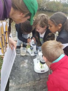 children examining samples under microscopes