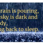 haiku over rain background