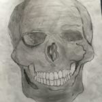 Tonal Skull Drawing by Tuli A. (8th grade)