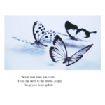 haiku and butterflies