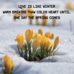 haiku over background of flowers poking out through snow