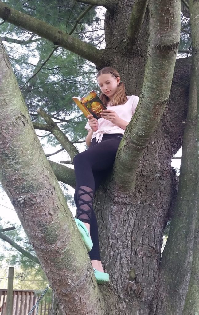 girl reads a book while sitting in a tree