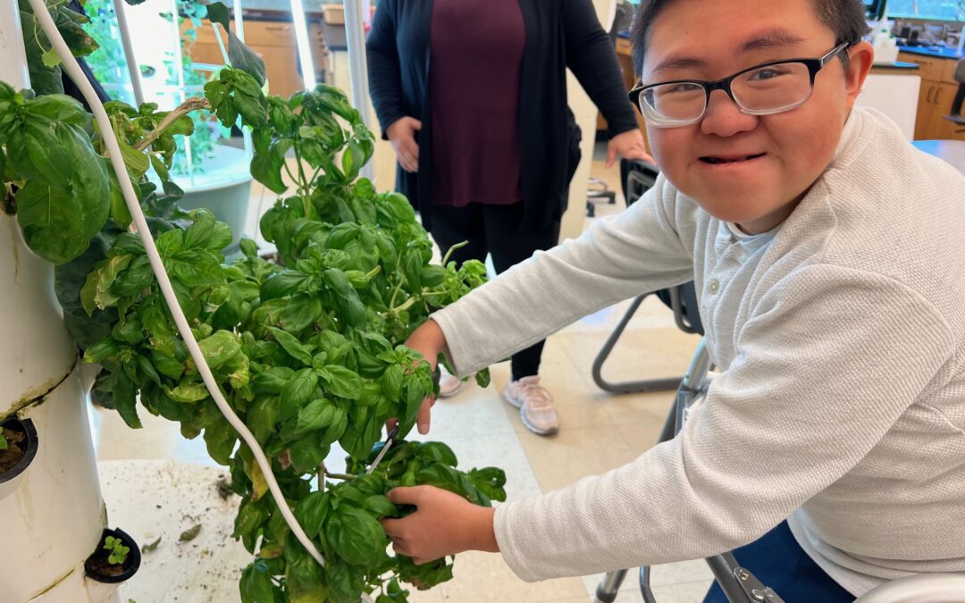 Food Services Director & Intro to Agriculture Class Harvest Basil