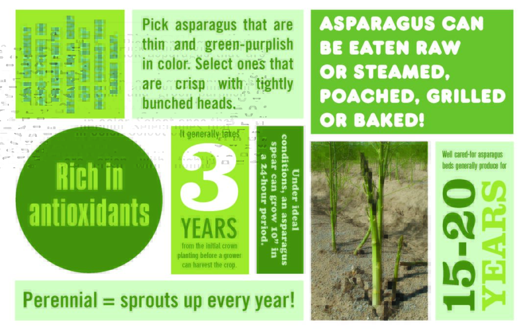 Look for NY Grown Asparagus at Lunch!