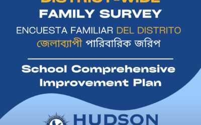 District-Wide Family Survey – School Improvement Plan